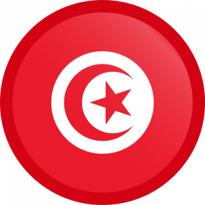 Tunisia_icon